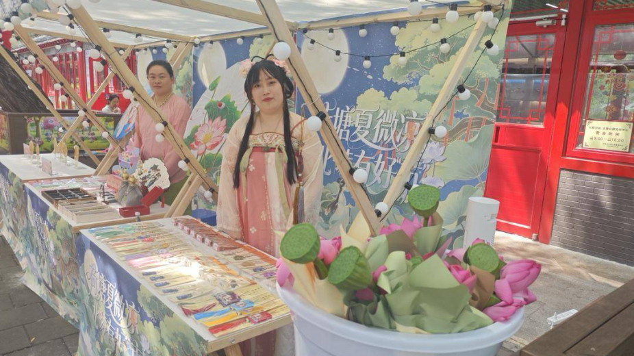 荷花季来啦！沈阳北陵荷花塘上演水幕光影秀