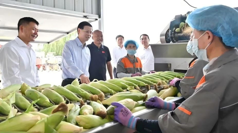 许昆林在沈阳市康平县法库县调研